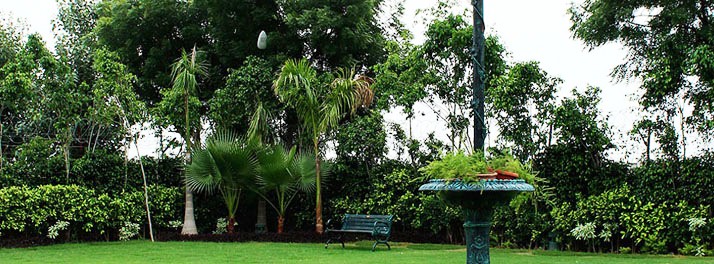 436/Nidhivan Hotel & Resort - Vrindavan 11.jpg